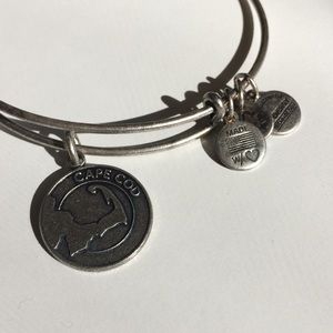 Alex & Ani silver charm bracelet